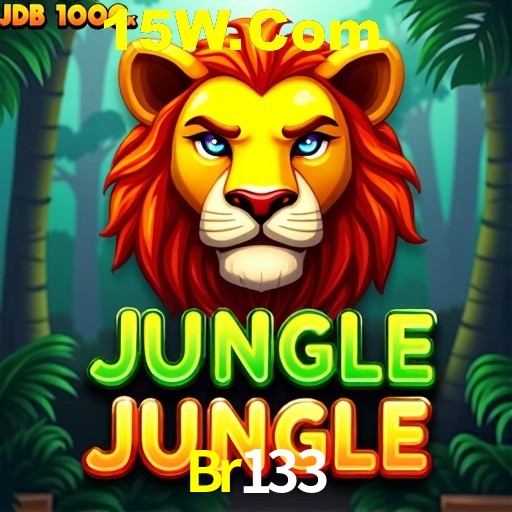 Secure Login Br133